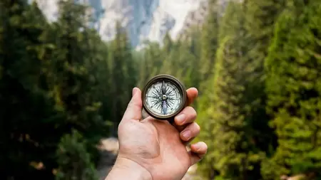 Tired of Waiting? Design Your Dream Life Today!