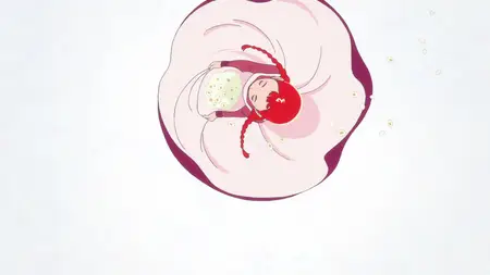 Anne Shirley S01E08 I Dont Want to Be Anyone but Myself