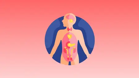 Crash Course Anatomy