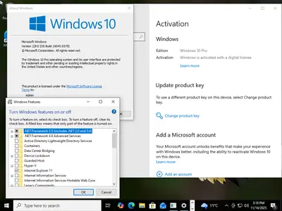 Windows 10 Pro 22H2 build 6575 Preactivated (x64) Multilingual November 2025