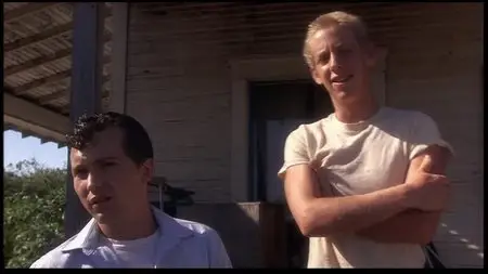 Stand by Me (1986) Special Edition