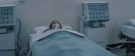 The Honeymoon Phase (2019)