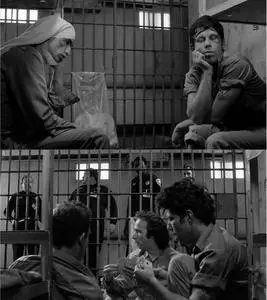 Down by Law (1986) [The Criterion Collection]