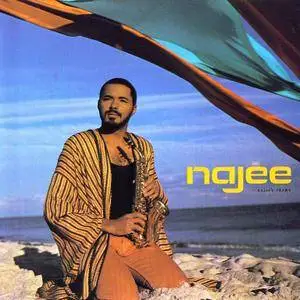 Najee - Najee's Theme (1986)