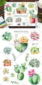CreativeMarket - World of Succulents and Cactus
