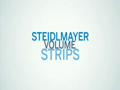 Steidlmayer Volume Strips