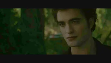The Twilight Saga: New Moon (2009)
