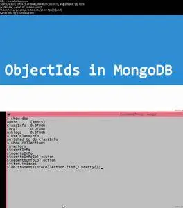 Complete MongoDB Course Series : Part 5: ObjectIds in MongoDB