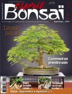 Esprit Bonsai - août 01, 2014