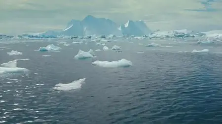 PBS - NOVA: Polar Extremes (2020)