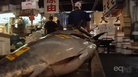 NHK Tsukiji :World's Largest Fish Market - The Incredible Hands (2009)