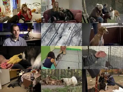 PBS NOVA: Dogs Decoded S38E04 (2010)