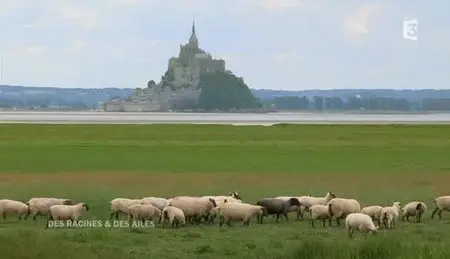 (Fr3) Des racines et des ailes : Passion patrimoine, du Mont-Saint-Michel aux îles de Chausey (2012)