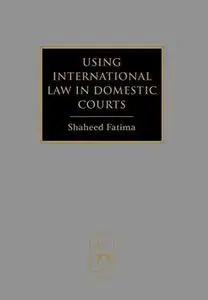 Using International Law in Domestic Courts