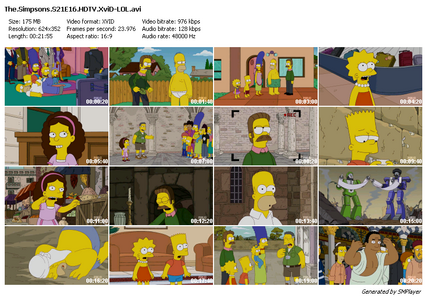 The Simpsons S21E16