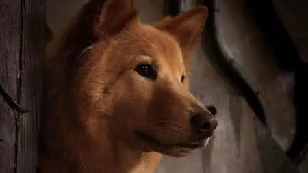 John Dies at the End (2012)