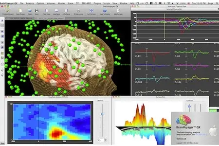 BrainVoyager QX v2.3.1 Mac OS X