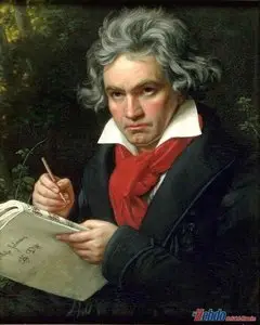 L.V. Beethoven : The 9 Symphonies
