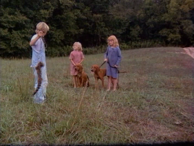 Where the Red Fern Grows (1974)