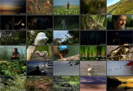 Ireland's Wild River (2014)