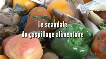 (Fr5) Le scandale du gaspillage alimentaire (2012)