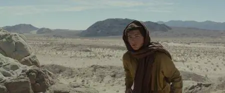 Last Days in the Desert (2015)