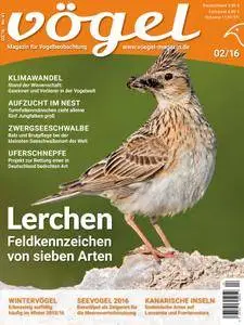 Vögel - März 2016