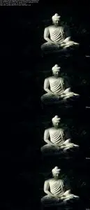 Vipassana Meditation Course: Buddhas Meditation