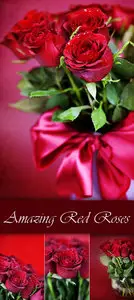 Stock Photo - Red Roses Cards
