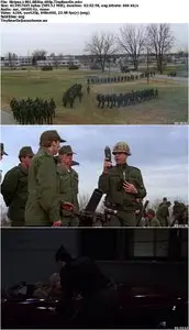 Stripes (1981)