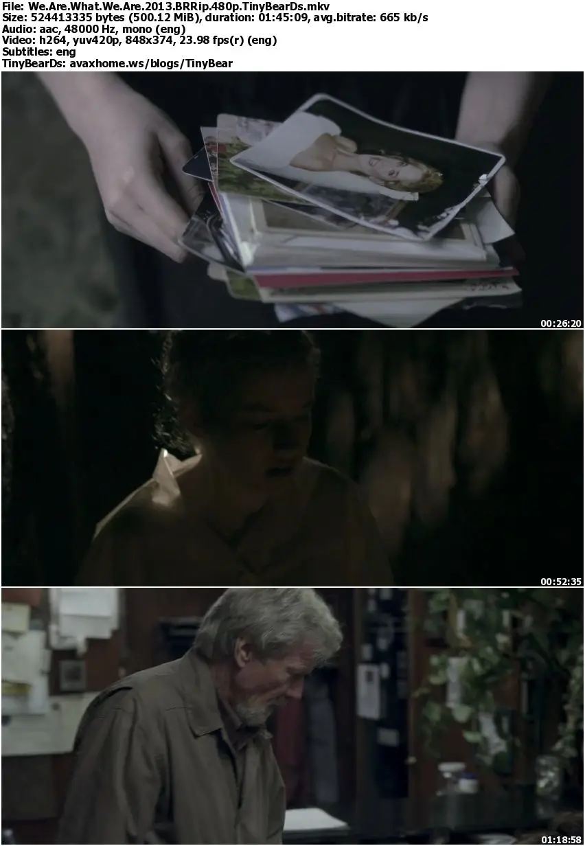 We Are What We Are (2013)