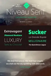 Niveau Serif Font Family