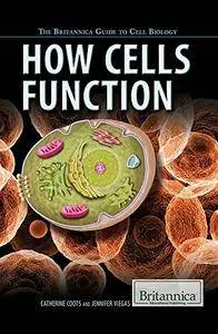 How Cells Function