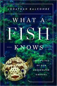 What a Fish Knows: The Inner Lives of Our Underwater Cousins (repost)