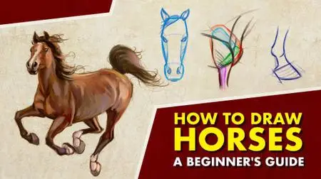 How To Draw Horses - A Beginner's Guide