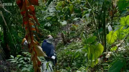 BBC Our World - Colombia: Saving Eden (2020)
