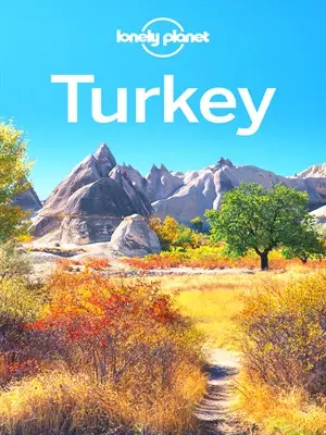 Lonely Planet Turkey, 14 edition (Travel Guide)
