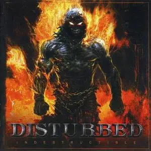 D - Indestructible (2008) HQ