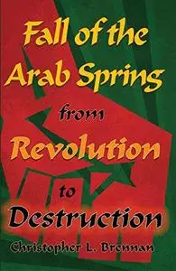 Fall of the Arab Spring: From Revolution to Destruction (Repost)