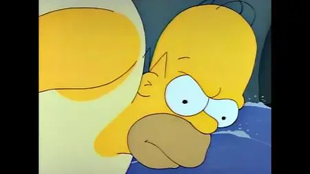 Die Simpsons S02E18