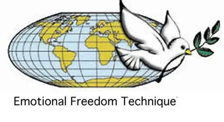 Emotional Freedom Techniques - Full DVD Training Set from Gary Craig