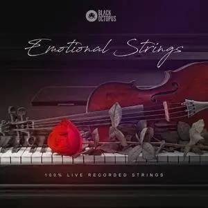 BlackOctopusSound Emotional Strings KONTAKT