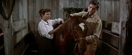 Gun for a Coward (1957)