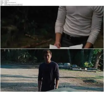 Charlie St. Cloud (2010)