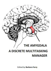 "The Amygdala: A Discrete Multitasking Manager" ed. by Barbara Ferry