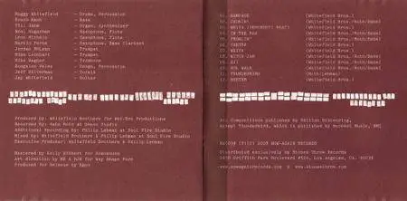 The Whitefield Brothers - In The Raw (2009) {Now-Again}