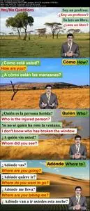 Learn Spanish Language in just 7 hours