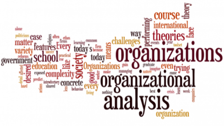 Coursera - Organizational Analysis