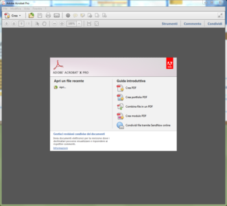 Adobe Acrobat X Pro v10.1.3