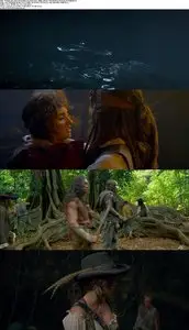 Pirates of the Caribbean: On Stranger Tides (2011)